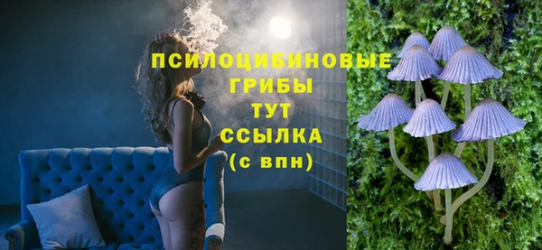 mix Абаза