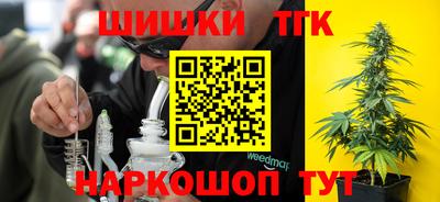 индика Канаш