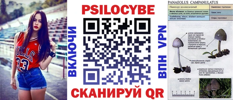 Псилоцибиновые грибы мухоморы  наркотики  KRAKEN маркетплейс  Кудымкар 