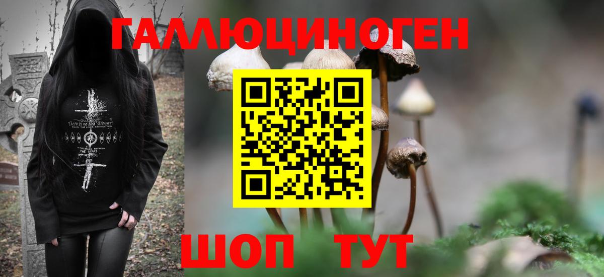 Псилоцибиновые грибы Psilocybe  Псилоцибиновые грибы MAGIC MUSHROOMS  Кудымкар  Вход с VPN 